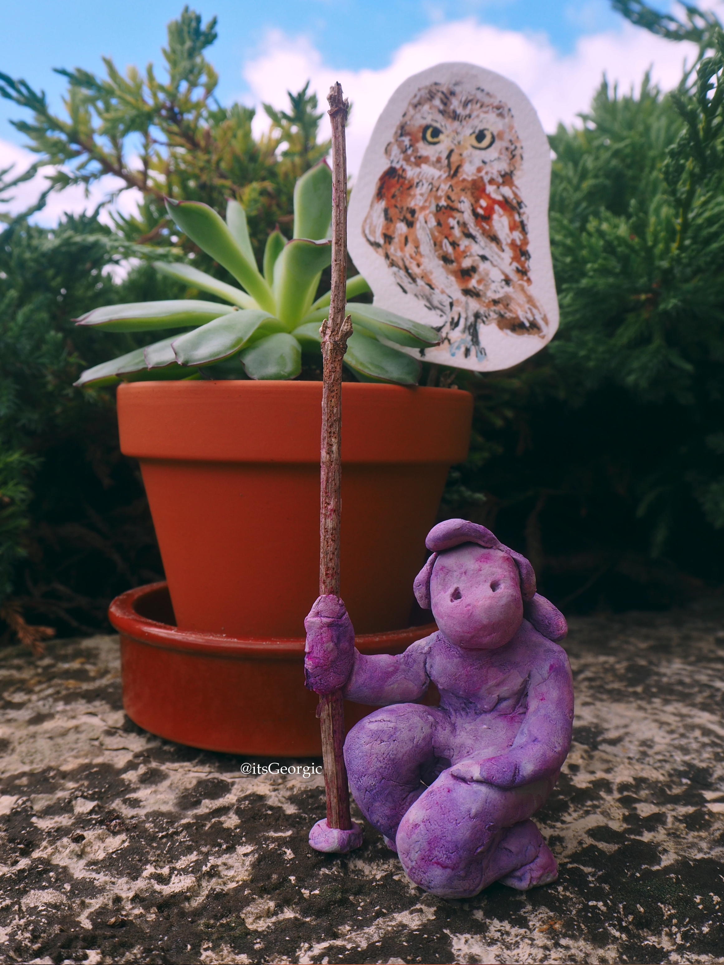 Photo d'une succulente (echeveria pulidonis) en pot derrière une statuette violette d'une femme agenouillée tenant une lance. Il y a une petite peinture à l'aquarelle d'une chouette plantée dans le pot.