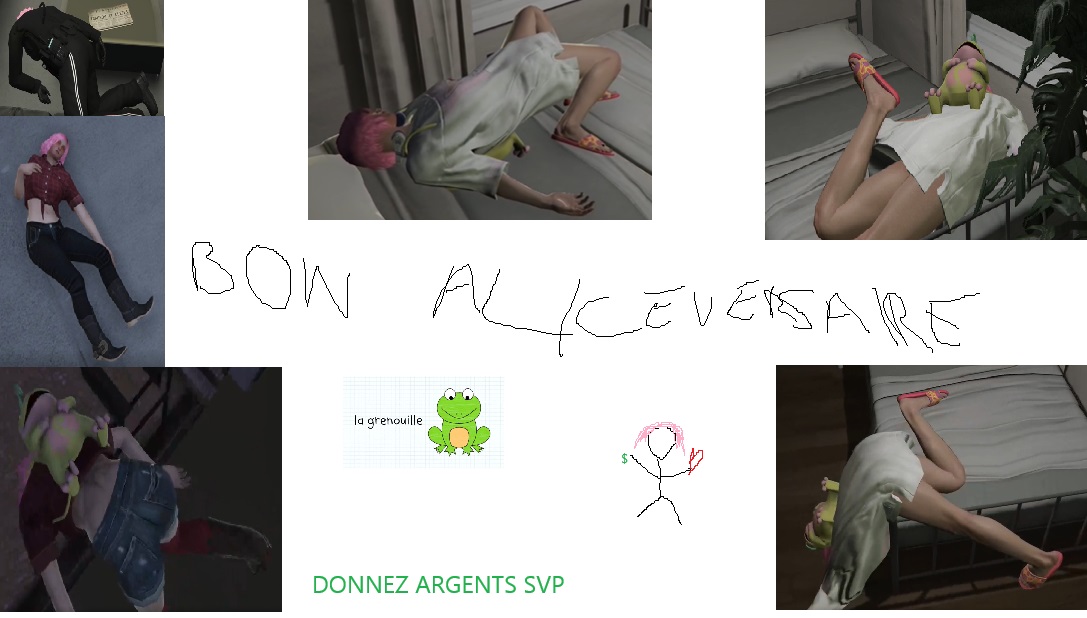 Collection de screenshots d'Alice en ragdoll, il y a un dessin de grenouille et un bonhomme bâtons aux cheveux roses tenant un coeur dans une main et un symbole dollar dans l'autre. Il est écrit en grand 'BON ALICEVERSAIRE' et en plus petit 'DONNEZ ARGENTS SVP'